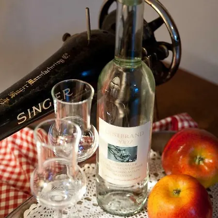 Apartament Haus Kathrin Dorfgastein