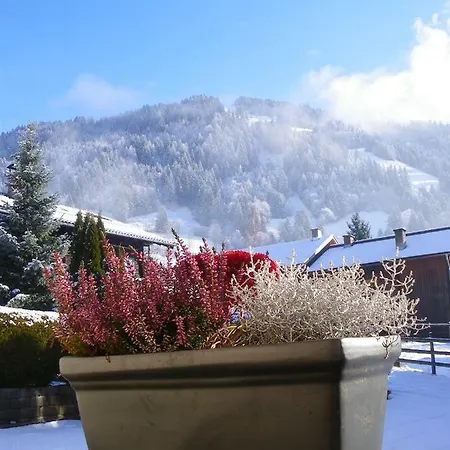 Apartament Haus Kathrin Dorfgastein